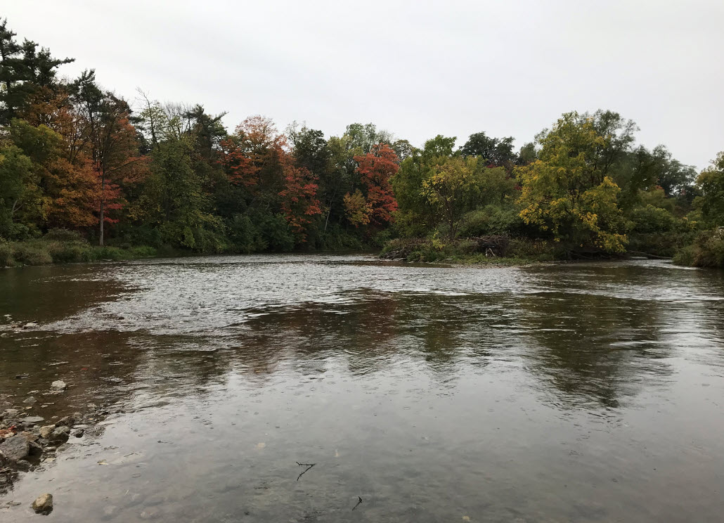 The Credit River, Mississauga